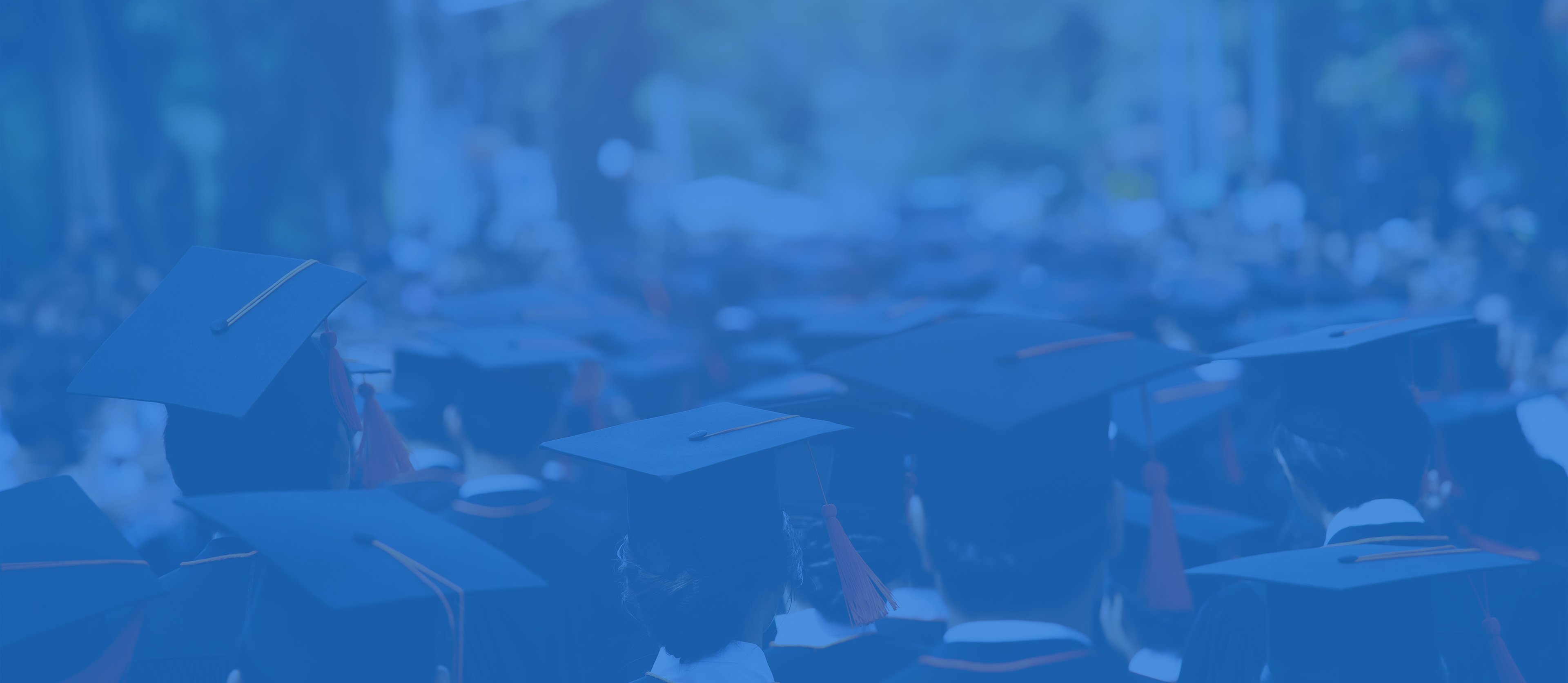 crowd of people with graduation hat